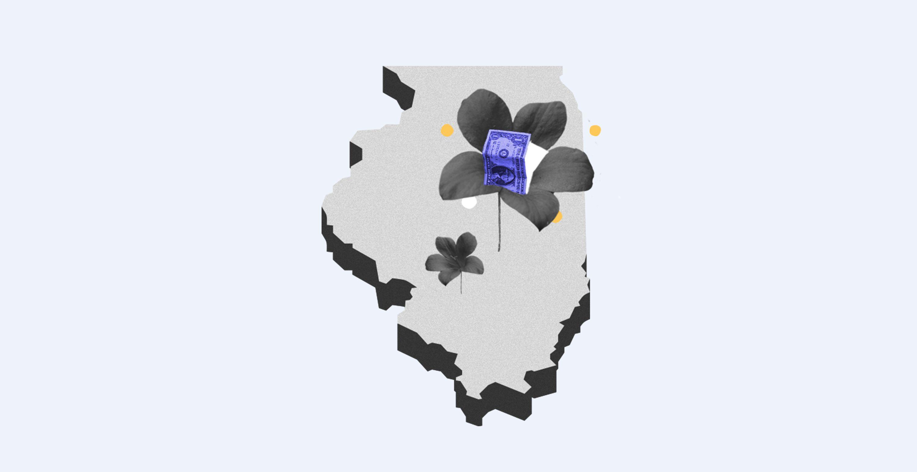 State of Illinois with flowers