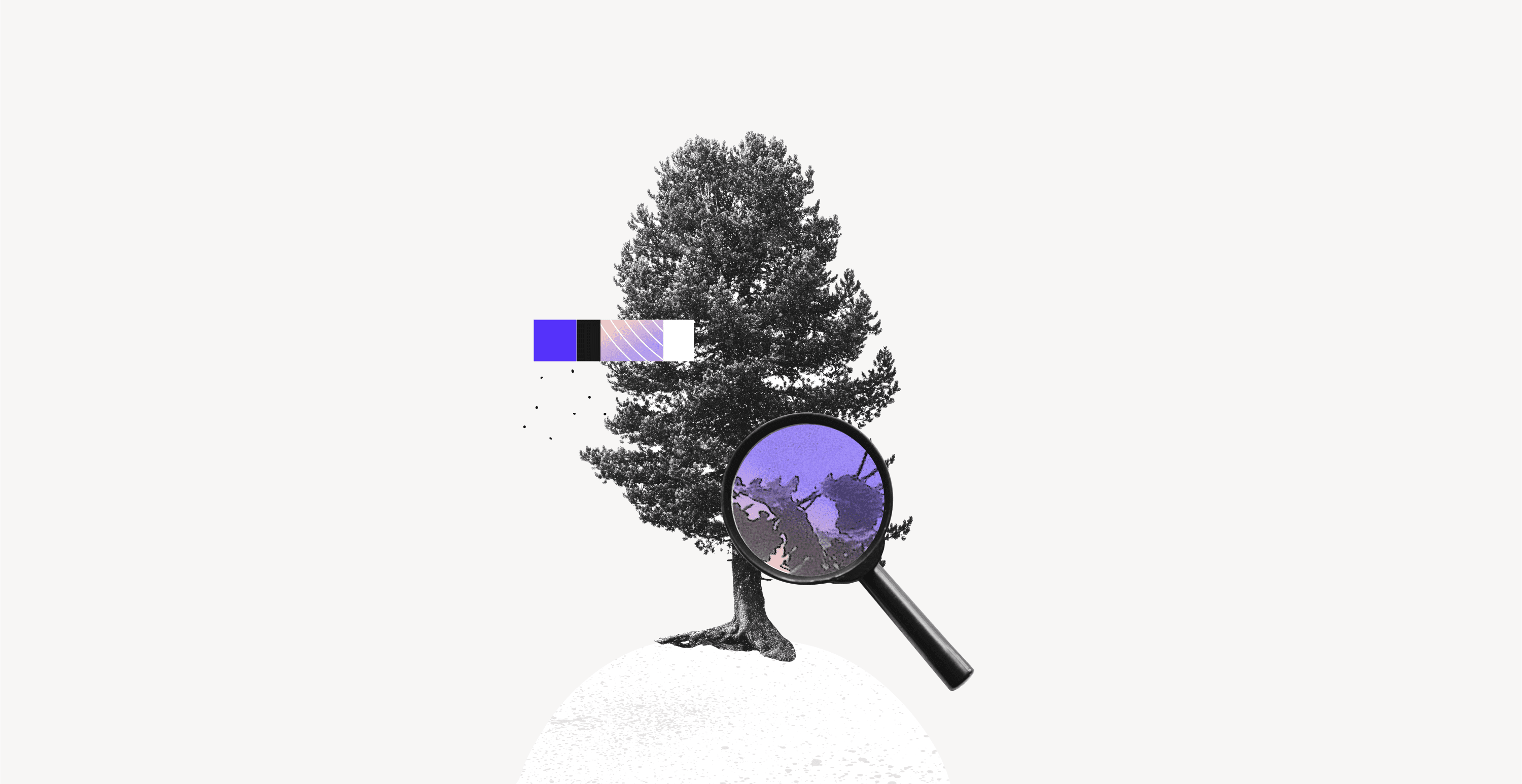 Tree with magnifying glass